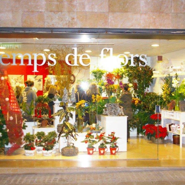 dissenyfloristeria