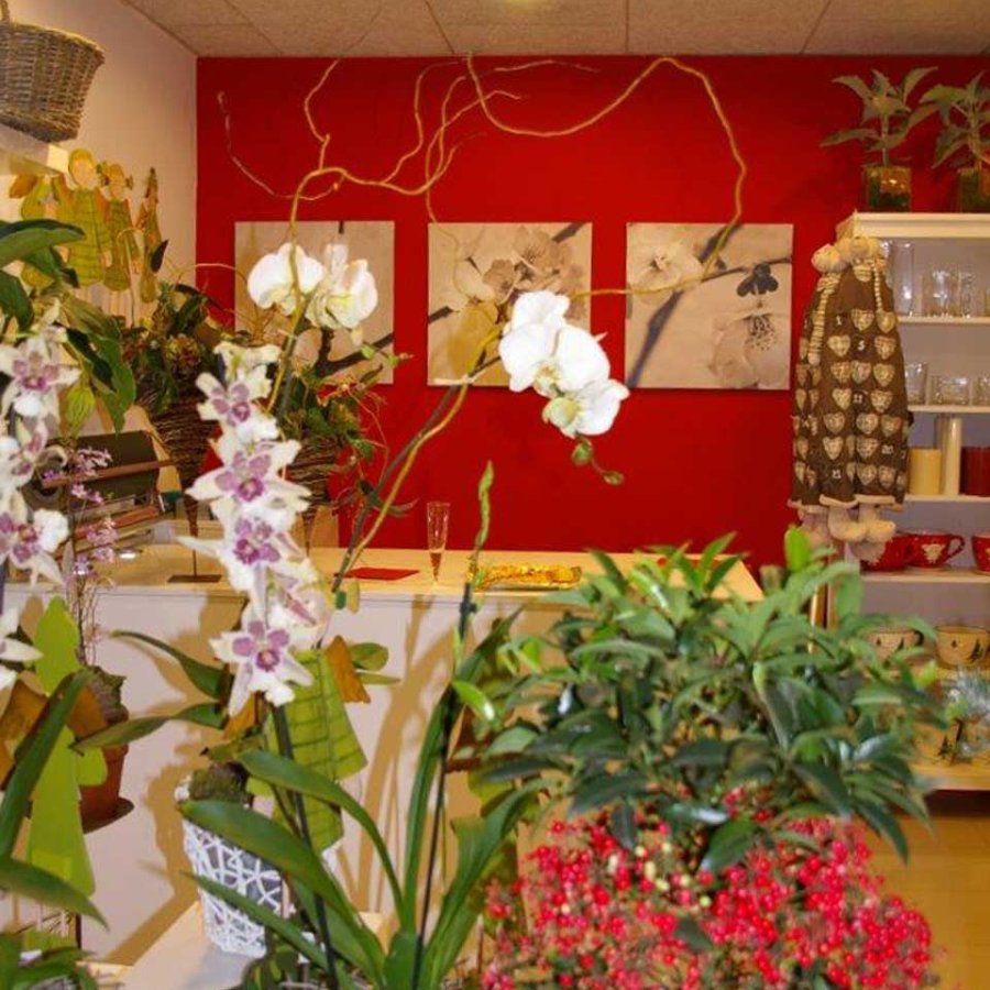 dissenyfloristeria