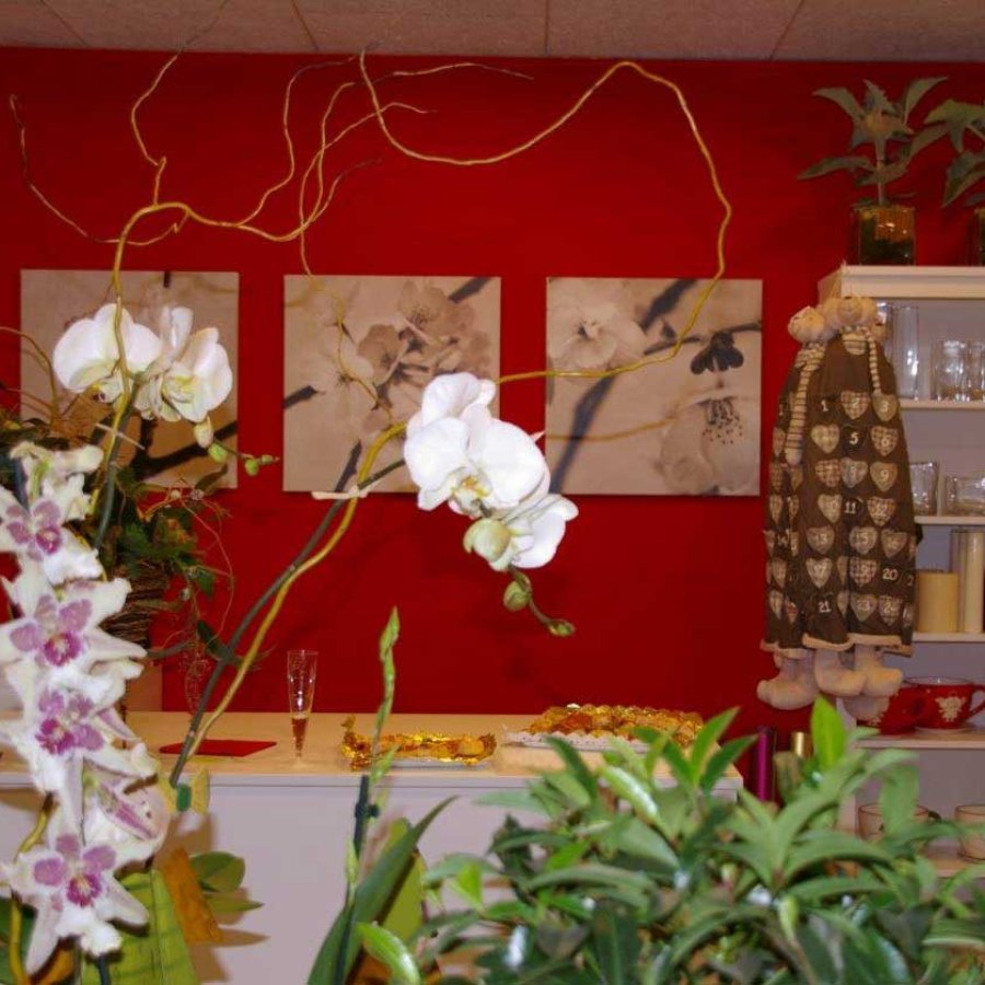 dissenyfloristeria